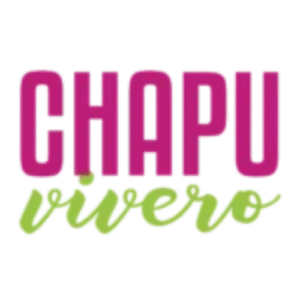 Combo 3 cursos